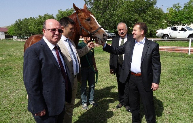Tarım İşletmeleri Genel Müdürü Mehmet Taşan