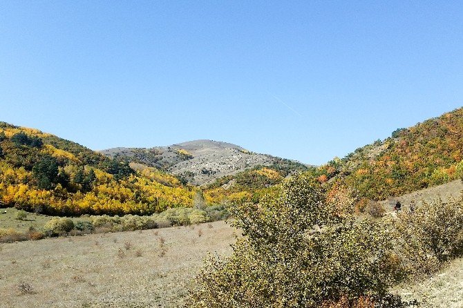 Gümüşhaneli dağcılardan Güzyurdu köyüne ‘güz’ yürüyüşü