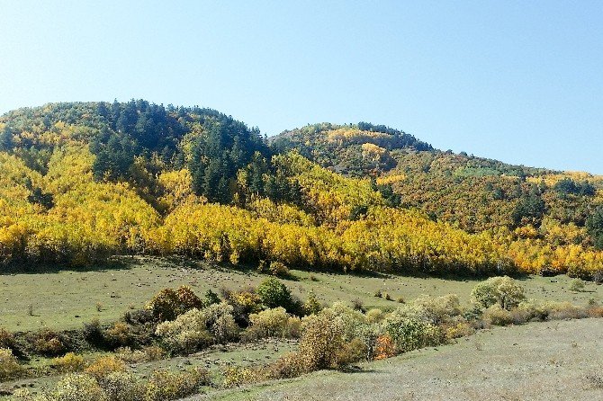 Gümüşhaneli dağcılardan Güzyurdu köyüne ‘güz’ yürüyüşü