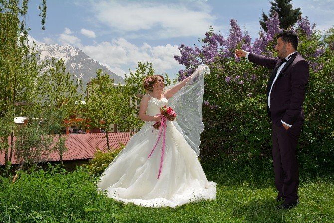 Hakkari’de İlk Kır Düğünü