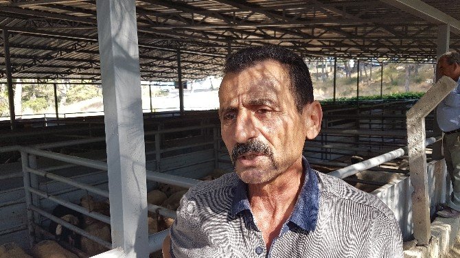 Manavgat Halk Eğitim’den kurban kesim kursu