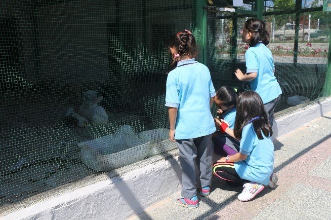 Çorlu Hayvanat Bahçesi İlgi Görüyor