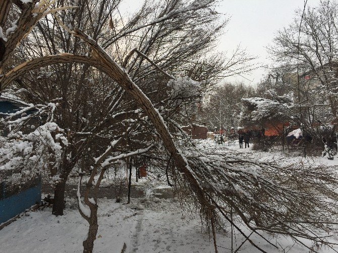 Kar yağışı ağaçların kırılmasına neden oldu