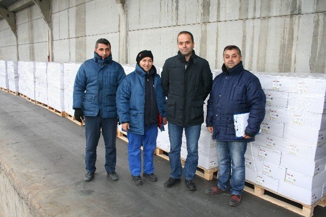 Dardanel’den İsrail’e ihracat