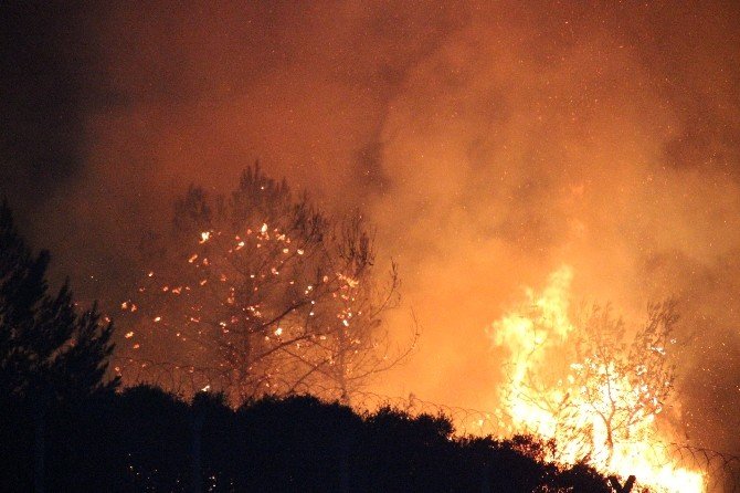 İzmir’de askeri alanda çıkan yangın söndürüldü