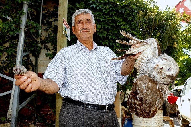 Kuşlar Trafoyu Patlattı, Mahalle Elektriksiz Kaldı