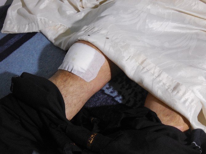 Hayatını çoban köpeği kurtardı