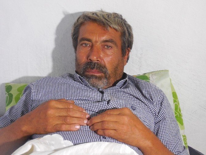 Hayatını çoban köpeği kurtardı