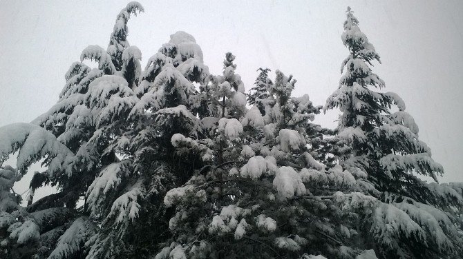 Çankırı’da kar yağışı sevindirdi