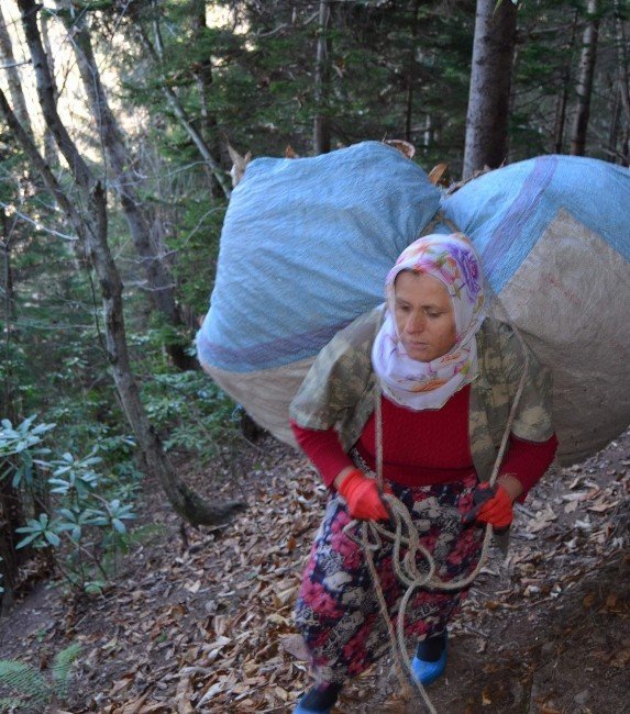 Karadeniz kadını zor yükün altına giriyor