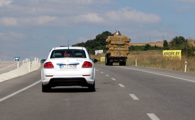 Saman balyaları üzerinde tehlikeli yolculuk