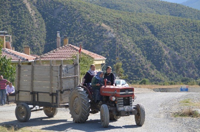 Tosyalı kadınların traktör marifeti