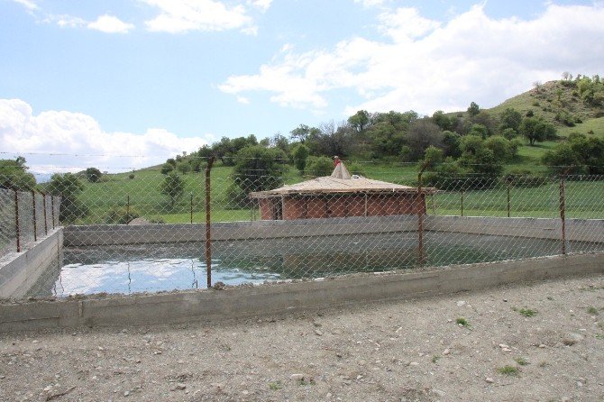 Su Kaynağını Ermeniler Buldu, Türkler Canlandırıyor