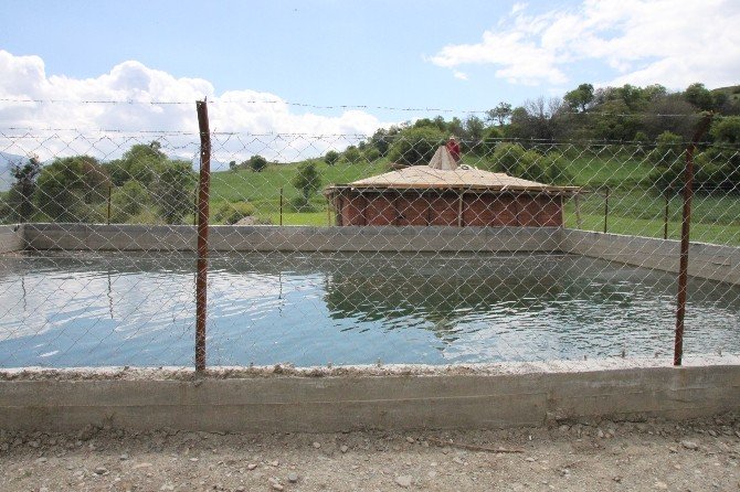 Su Kaynağını Ermeniler Buldu, Türkler Canlandırıyor