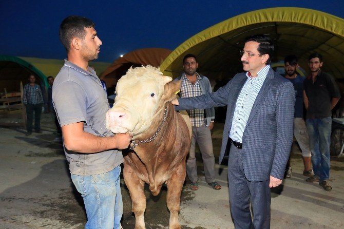 Keçiören Belediye Başkanı Ak, Ovacık Kurban Satış Alanı’nı inceledi