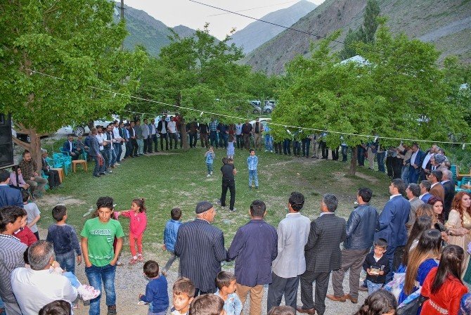Hakkari’de İlk Kır Düğünü
