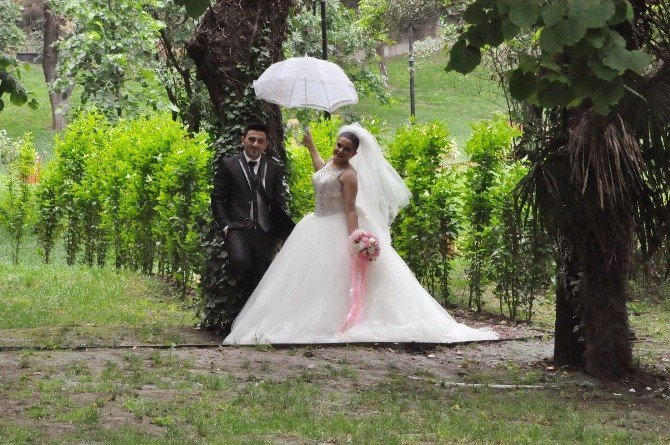 Gebze’de Osman Hamdi Bey Köşkü Gelin Ve Damatların Akınına Uğruyor