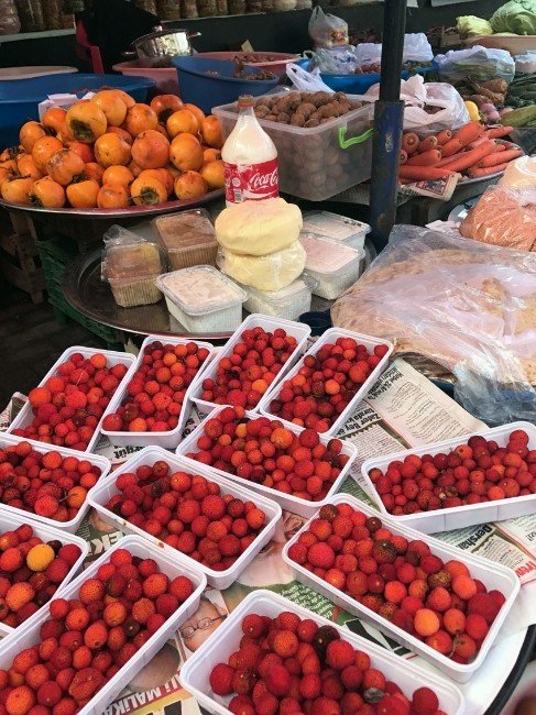 Endirek meyvesi köylü kadınların geçim kaynağı oldu