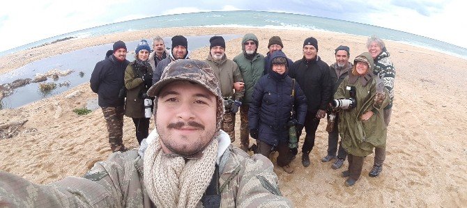 Alaca Çinte kuşu 8 yıl aranın ardından yeniden Türkiye sahillerinde