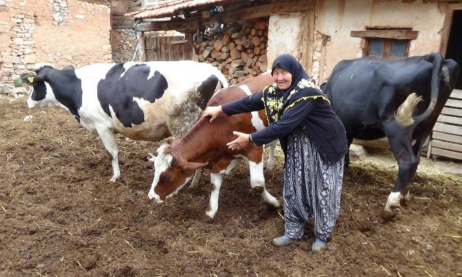 Bu defa sevinçten ağladılar