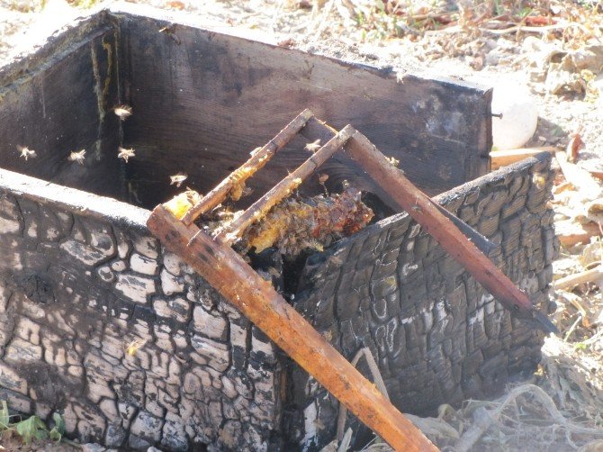 Hisarcık’ta 30 arı kovanı yakıldı