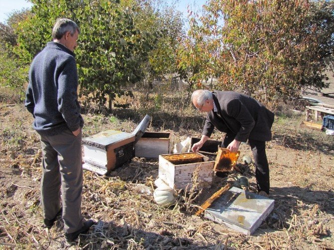 Hisarcık’ta 30 arı kovanı yakıldı