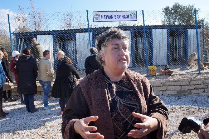 Lapseki hayvan barınağı açıldı