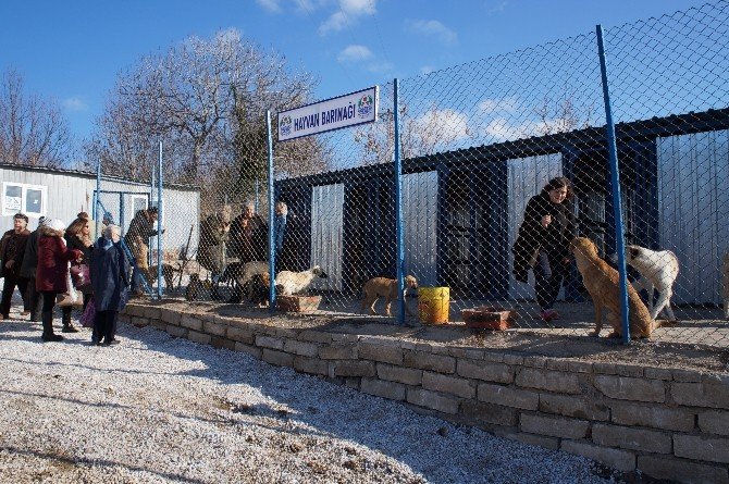 Lapseki hayvan barınağı açıldı