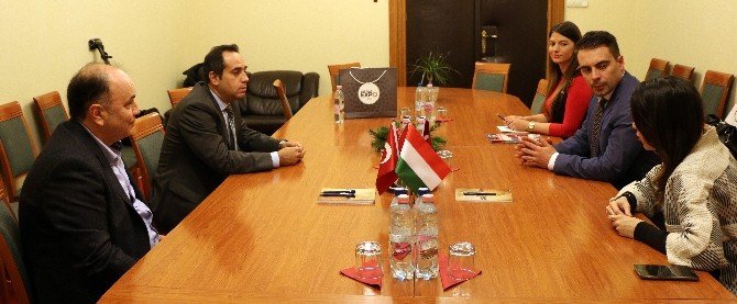 Macaristan ana muhalefet partisi lideri Gabor Vona terörü lanetledi