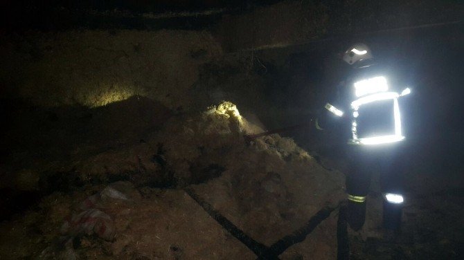 Malatya’da korkutan yangın: 2 inek telef oldu