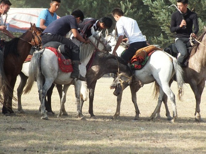 Gökbörü oyunu büyük beğeni topladı