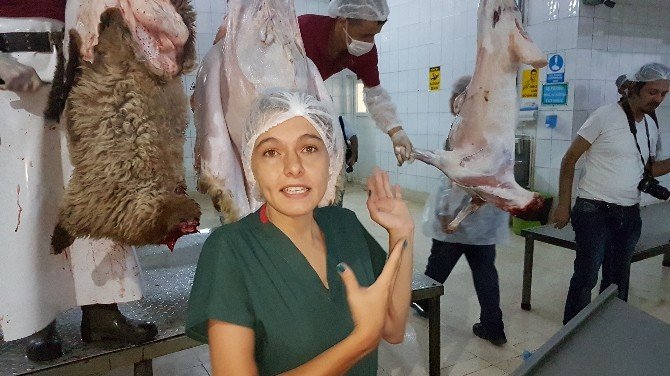 Manavgat Halk Eğitim’den kurban kesim kursu