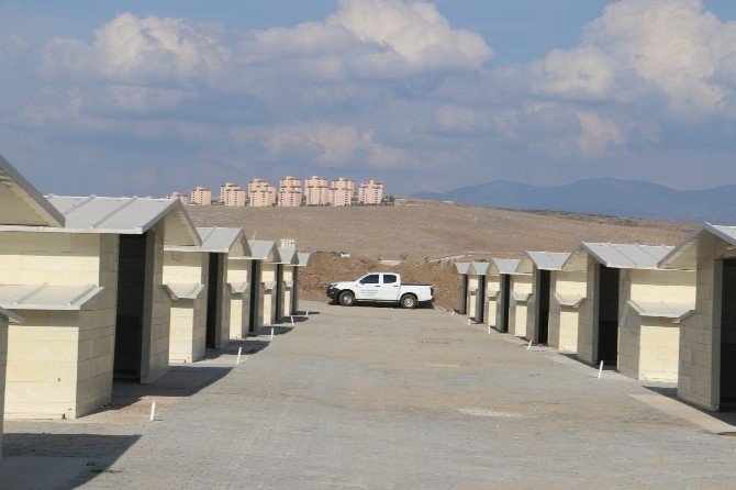 Başkan Ergün Akhisar’da yapımı süren hayvan barınağını inceledi