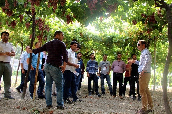 Genç çiftçiler, ’Meyvecilik Kampı’nda uygulamalı eğitim aldı