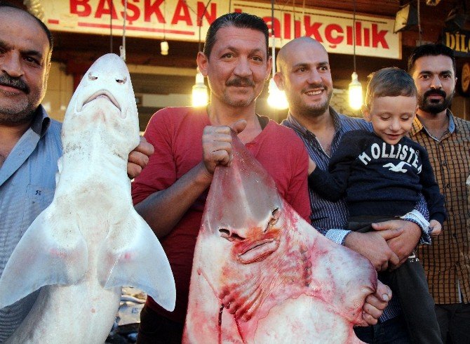 İnsan yüzlü balıklar şaşırtıyor