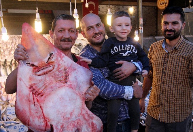 İnsan yüzlü balıklar şaşırtıyor