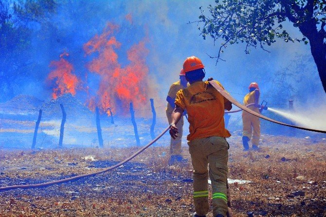 Orman Bölge Müdürü Mehmet Çelik yangınları değerlendirdi