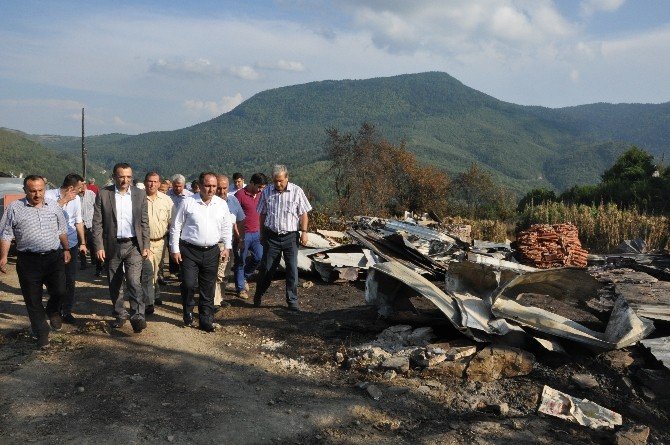 Ak Parti Milletvekili Demir, yangın bölgesini inceledi