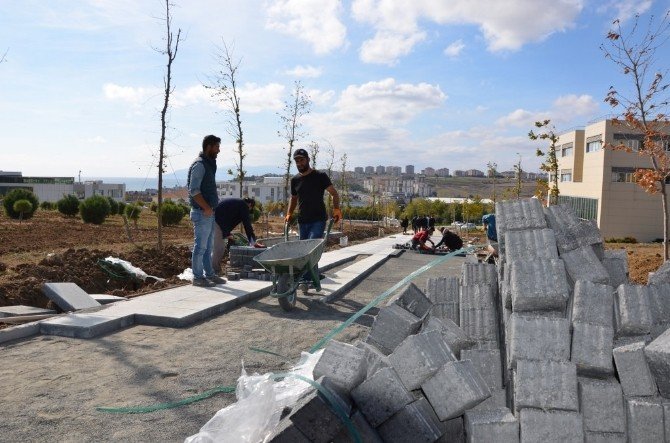 NKÜ kampüs giriş kapısı peyzaj çalışması ve yol düzenlemeleri tüm hızıyla devam ediyor