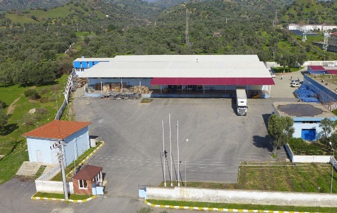 Nazlı Su Nazilli’nin gururu oldu