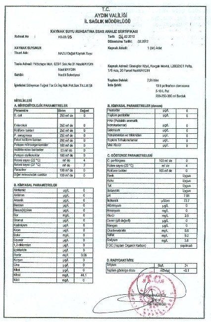 Nazlı Su Nazilli’nin gururu oldu