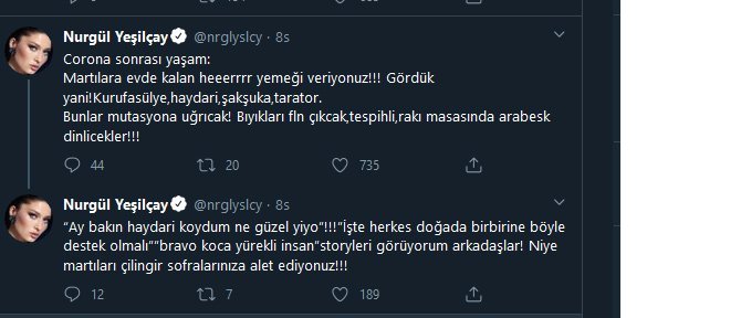 nurgulyesilcay-twitter.jpg