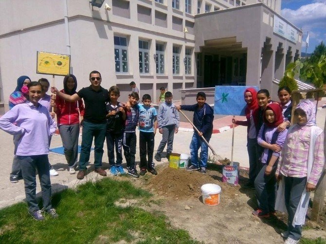 Okul Bahçesinde Doğa Temalı İngilizce Sloganlar