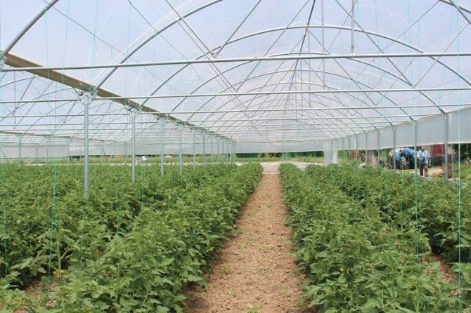 ORKÖY Projesi İle Sarıcakaya’daki 10 Üreticiye Sera Desteği