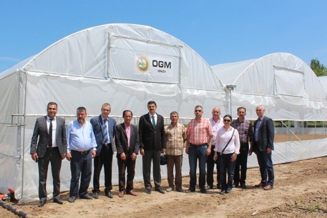 ORKÖY Projesi İle Sarıcakaya’daki 10 Üreticiye Sera Desteği