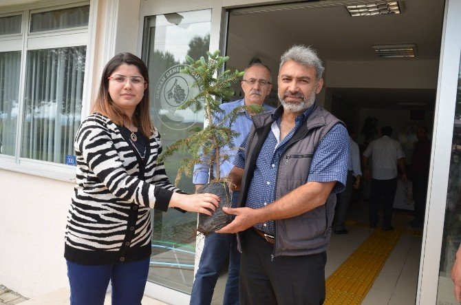 Köylüler Yavru Ceylan Buldu