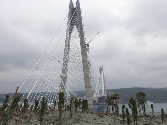 Darbe şehitleri "15 Temmuz Demokrasi ve Şehitler Ormanı" ile yaşatılacak