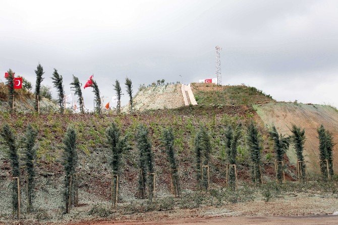 Darbe şehitleri "15 Temmuz Demokrasi ve Şehitler Ormanı" ile yaşatılacak