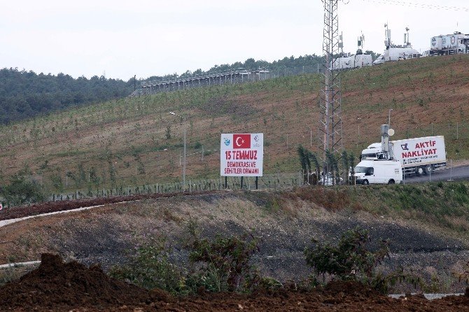 Darbe şehitleri "15 Temmuz Demokrasi ve Şehitler Ormanı" ile yaşatılacak