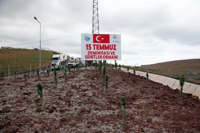 Darbe şehitleri "15 Temmuz Demokrasi ve Şehitler Ormanı" ile yaşatılacak
